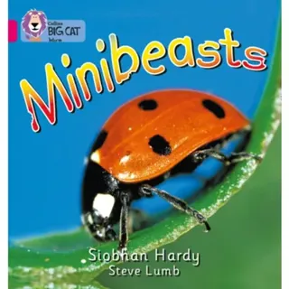 Minibeasts