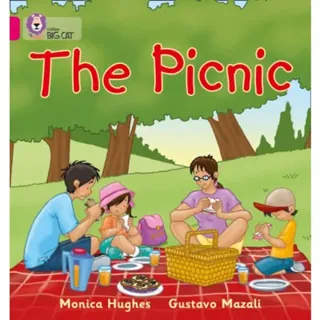The Picnic