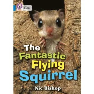 The Fantastic Flying Squirrel
