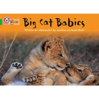 Big Cat Babies