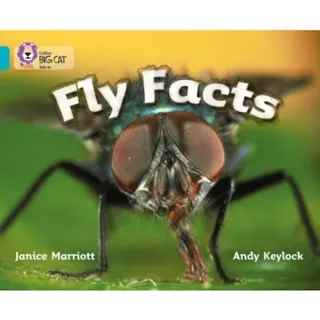 Fly Facts