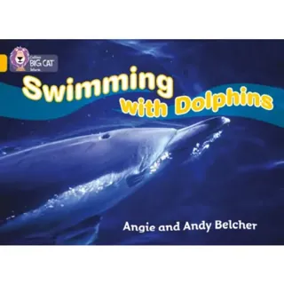 Swimming with Dolphins