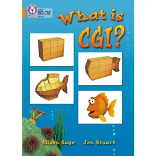 What Is CGI?