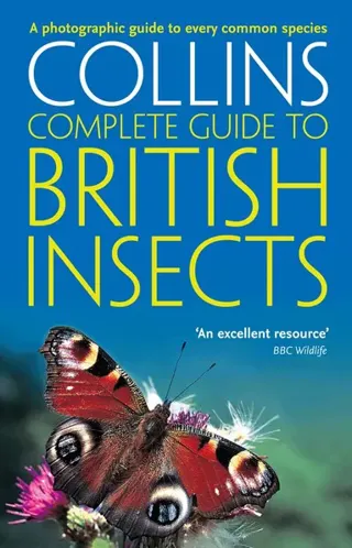 British Insects