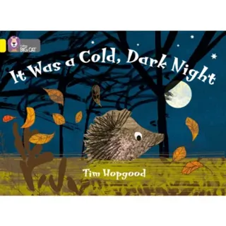 It Was a Cold Dark Night
