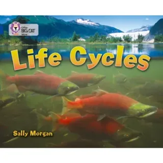 Life Cycles