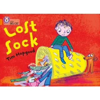 The Lost Sock