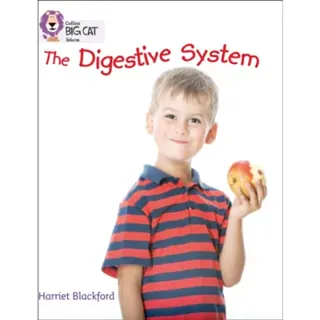 The Digestive System