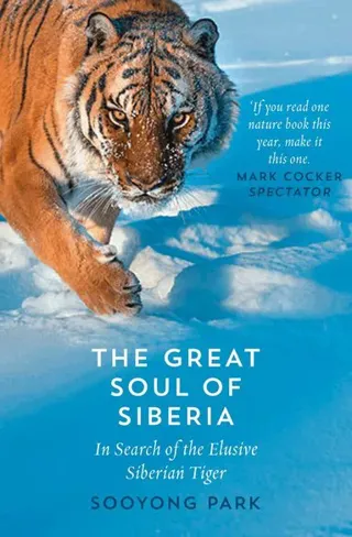 Great soul of siberia - in search of the elusive siberian tiger