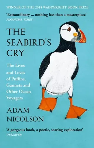 Seabird's Cry