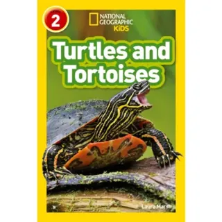 Turtles and Tortoises