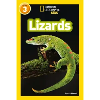 Lizards