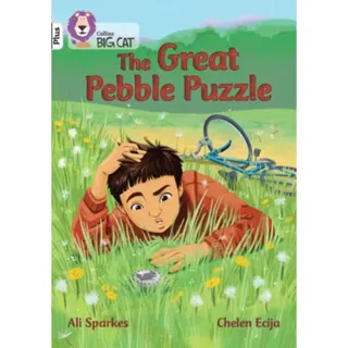 The Great Pebble Puzzle