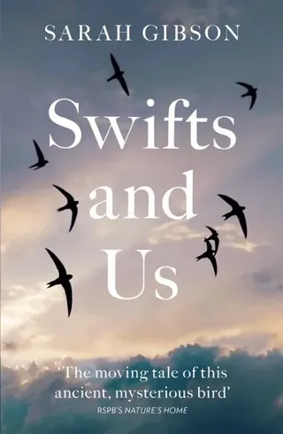 Swifts and Us