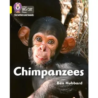 Chimpanzees