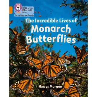 The Incredible Lives of Monarch Butterflies