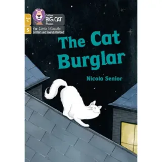 The Cat Burglar