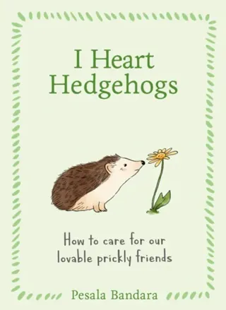 I Heart Hedgehogs