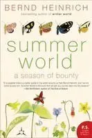 Summer World