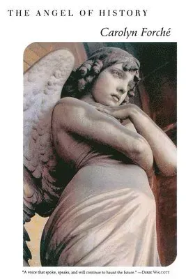 The Angel of History