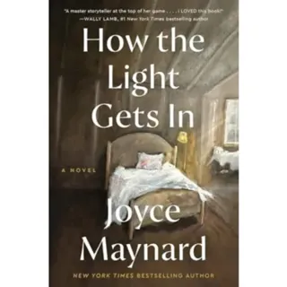 How the Light Gets In