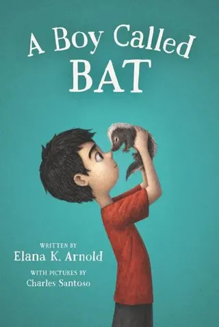 A Boy Called Bat