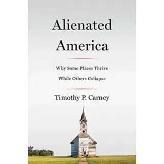 Alienated America