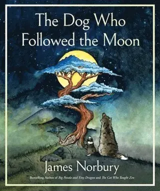 Following the Moon
