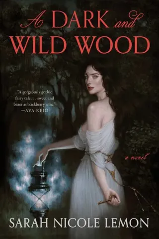 Dark and Wild Wood