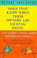 Dogs that know when their owners are coming home - and other unexplained po