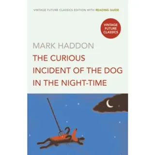 The Curious Incident of the Dog in the Night-time