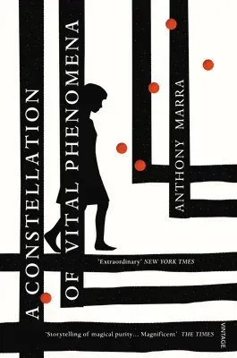Constellation of vital phenomena