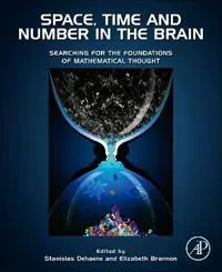 Space, Time and Number in the Brain