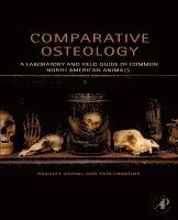 Comparative Osteology