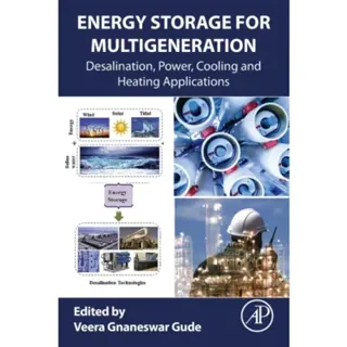 Energy Storage for Multigeneration