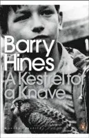 A Kestrel for a Knave