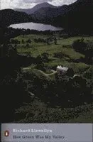 How Green Was My Valley