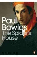 The Spider's House