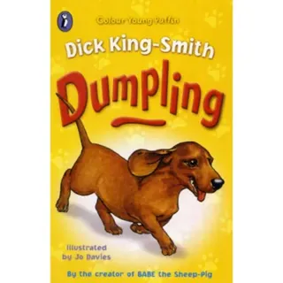 Dumpling