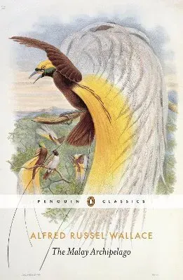 Malay archipelago
