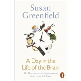 A Day in the Life of the Brain