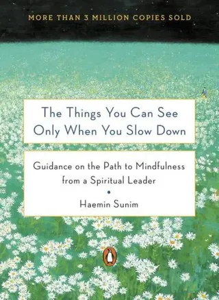 The Things You Can See Only When You Slow Down: How to Be Calm in a Busy World