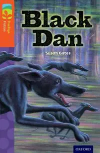 Oxford reading tree treetops fiction: level 13 more pack a: black dan
