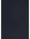 A Patristic Greek Lexicon