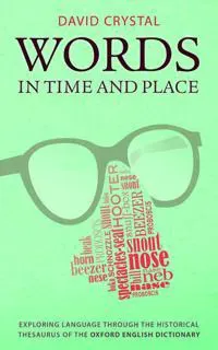 Words in Time and Place