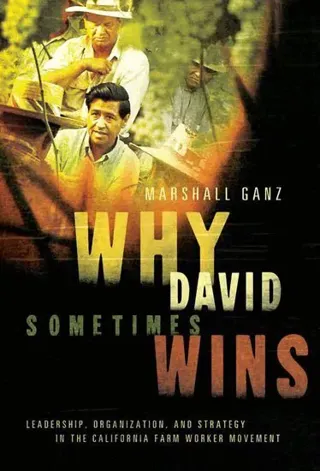 Why David Sometimes Wins