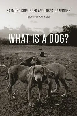 What Is a Dog?