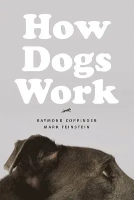 How Dogs Work