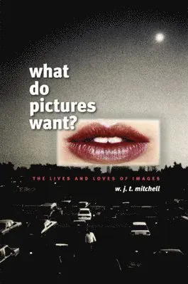 What Do Pictures Want?