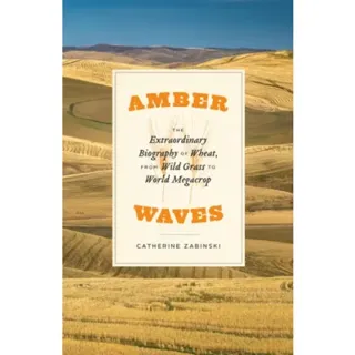 Amber Waves